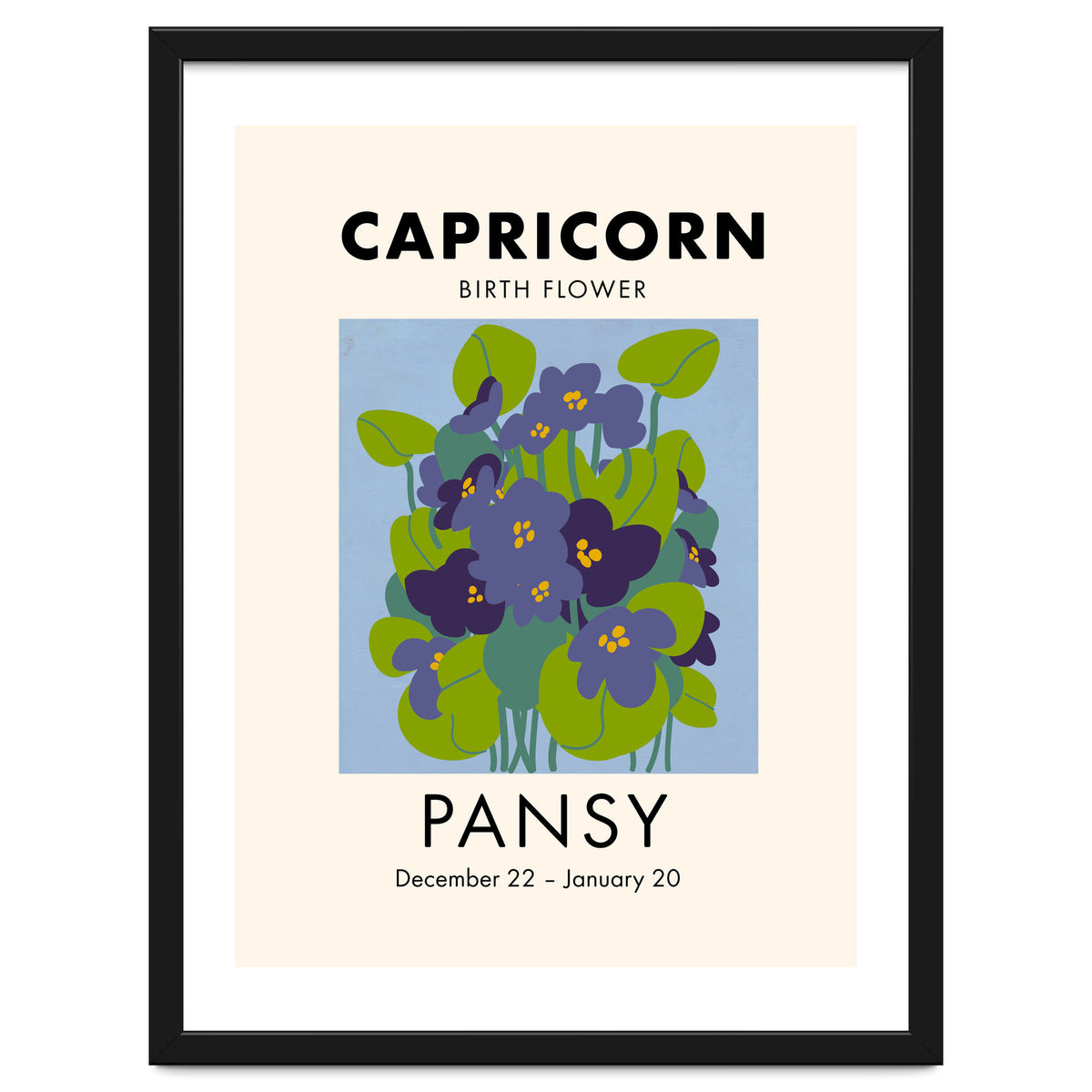 Capricorn Birth Flower Pansy