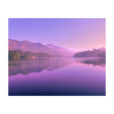 Nature (Print Only) thumbnail