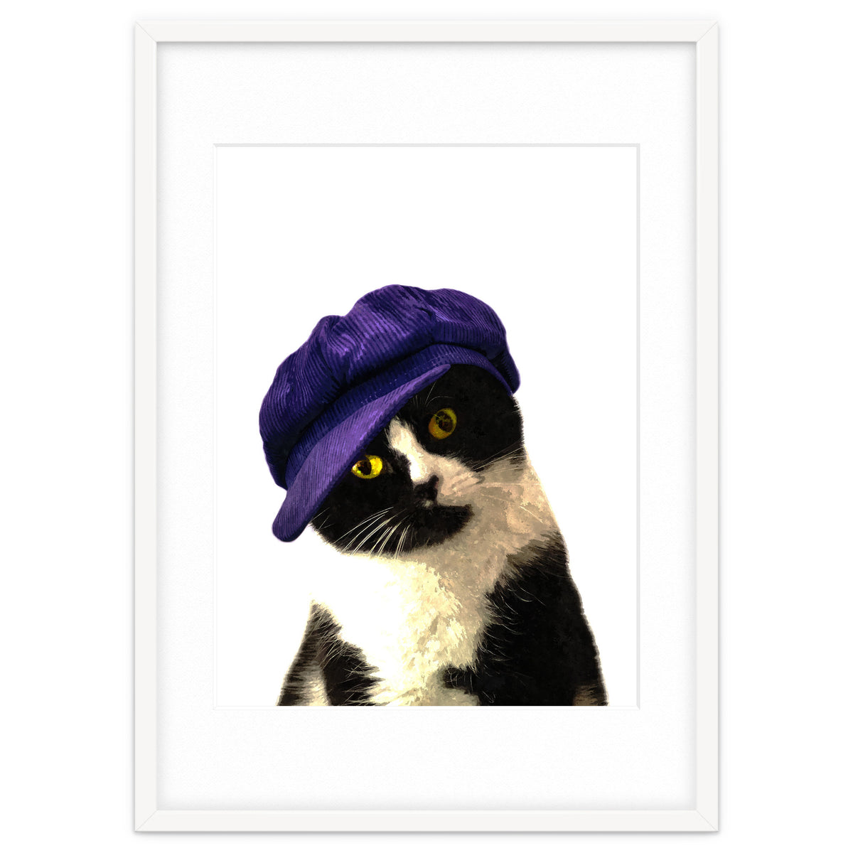 Cat Blue Hat