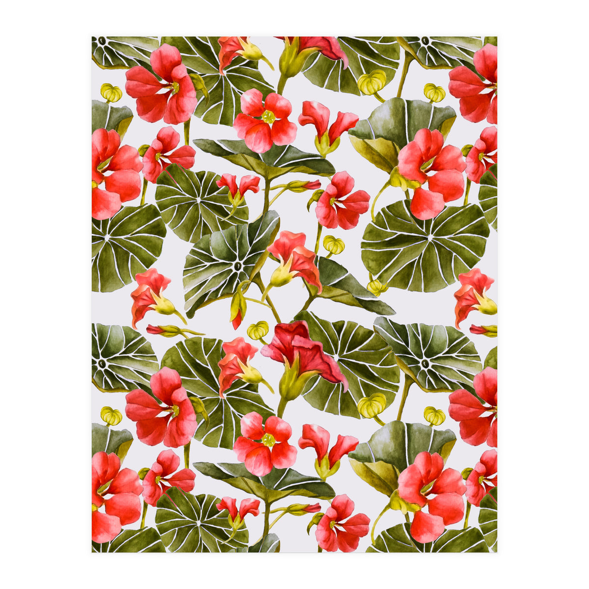 Nasturtiums watercolor 02 (Print Only)