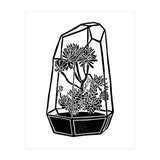 Terrarium  (Print Only) thumbnail