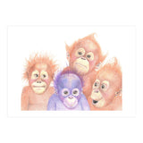Orangutan Babies (Print Only) thumbnail