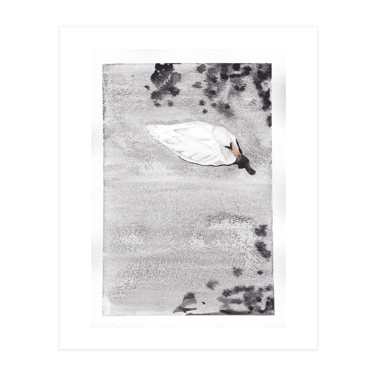 Swan (Print Only)
