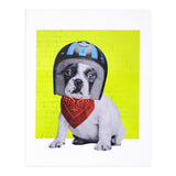 Easy Rider Dog (Print Only) thumbnail