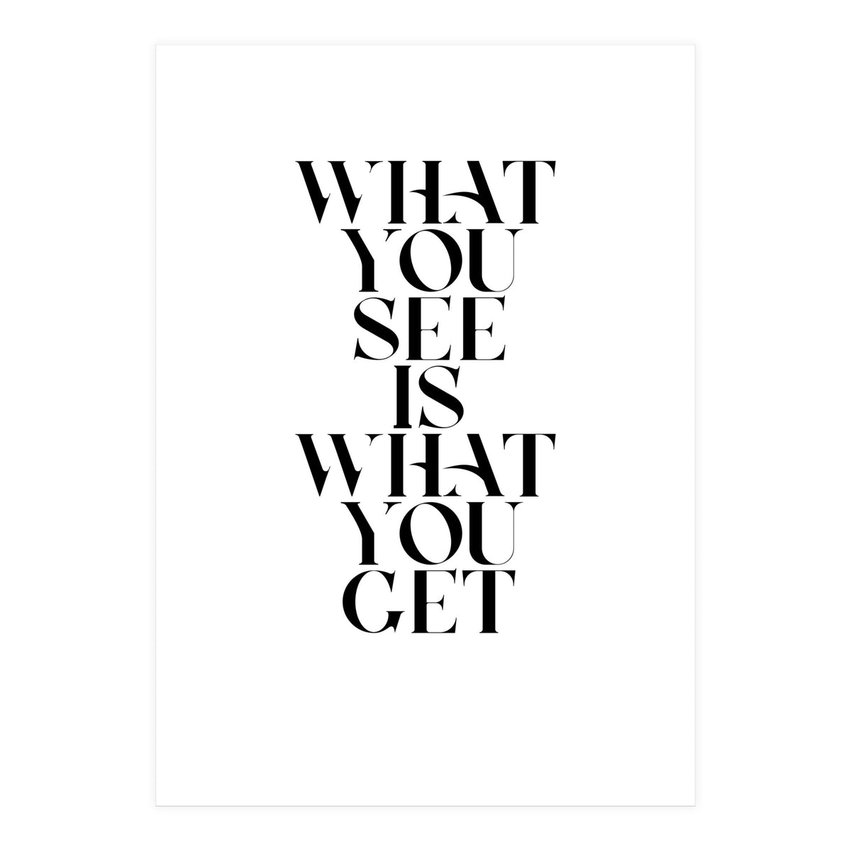 WHAT YOU SEE (Print Only)