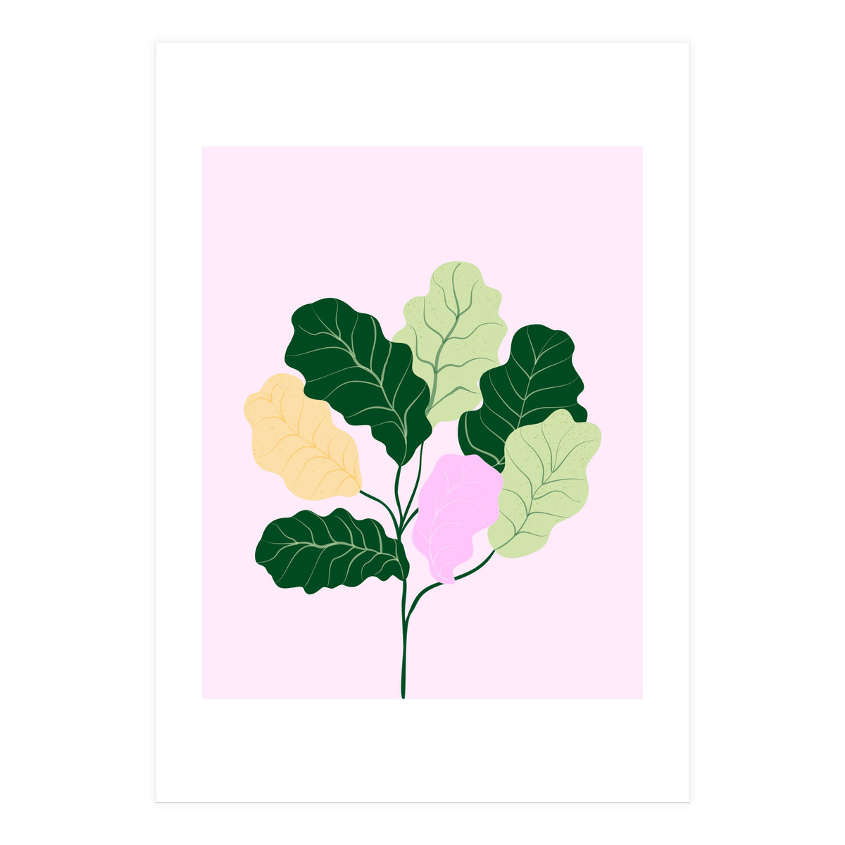 Figleaf (Print Only)