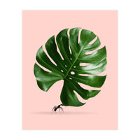 Monstera Ant (Print Only)
