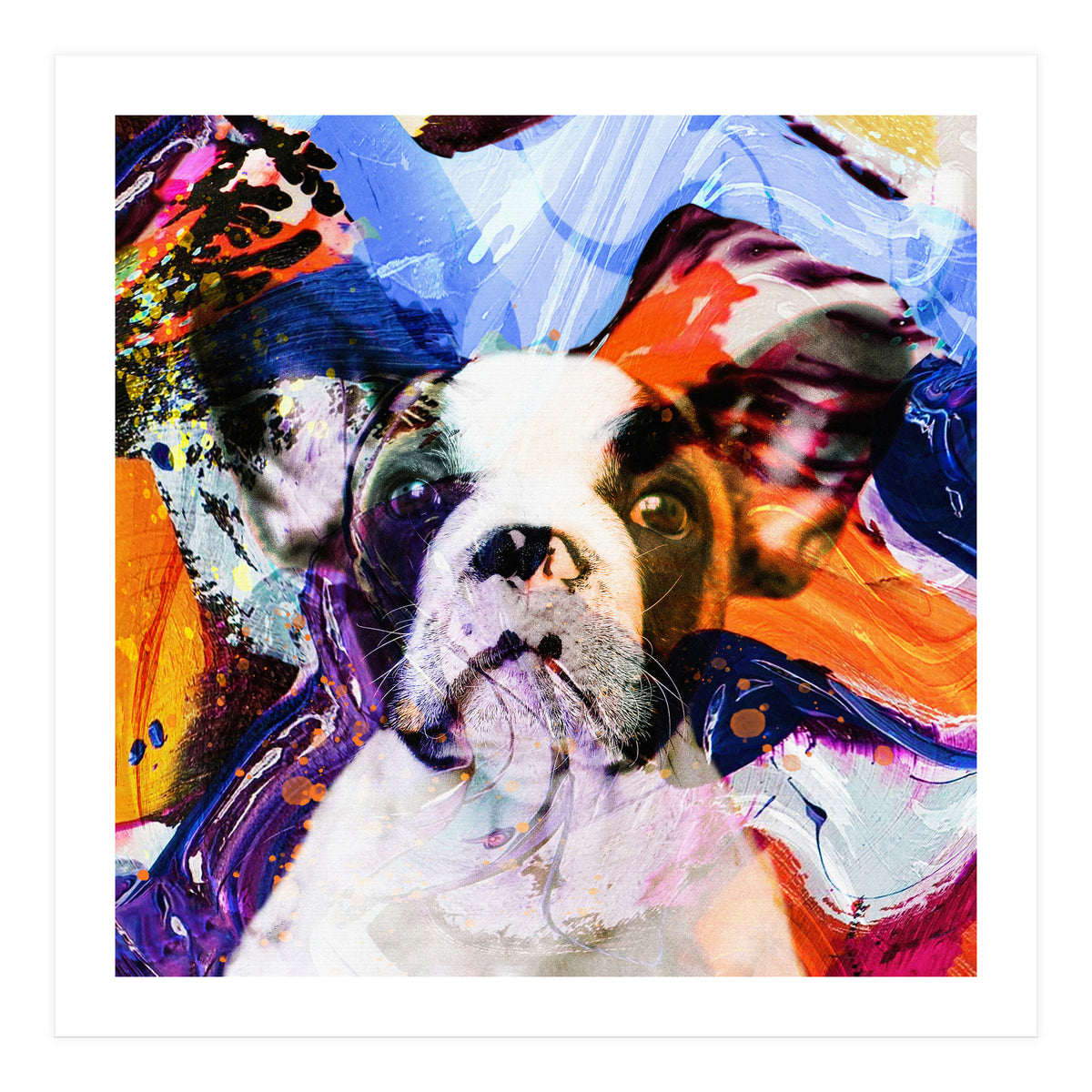 Zycko Color Dog 1 (Print Only)
