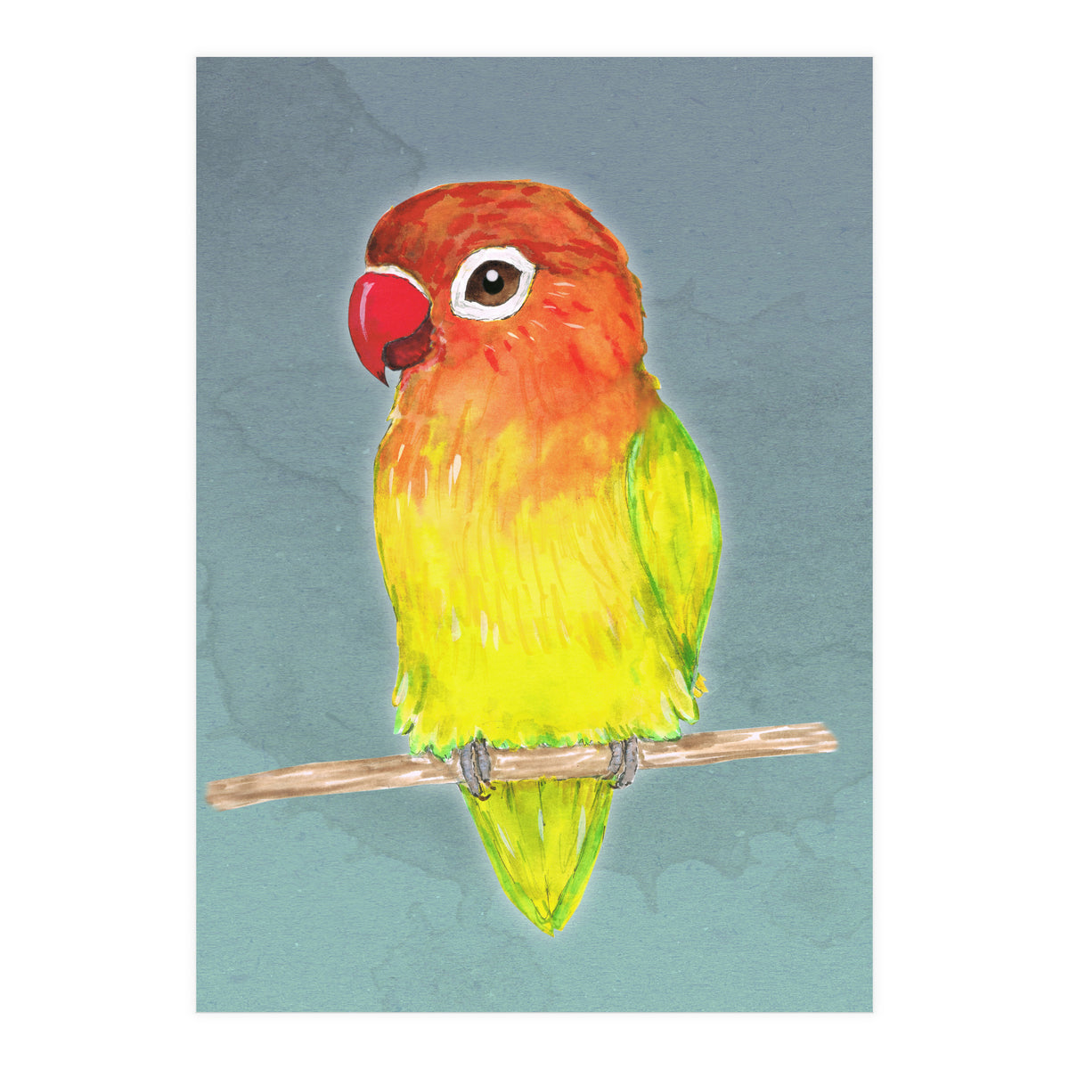 Cute yellow Fischer's lovebird (Print Only)