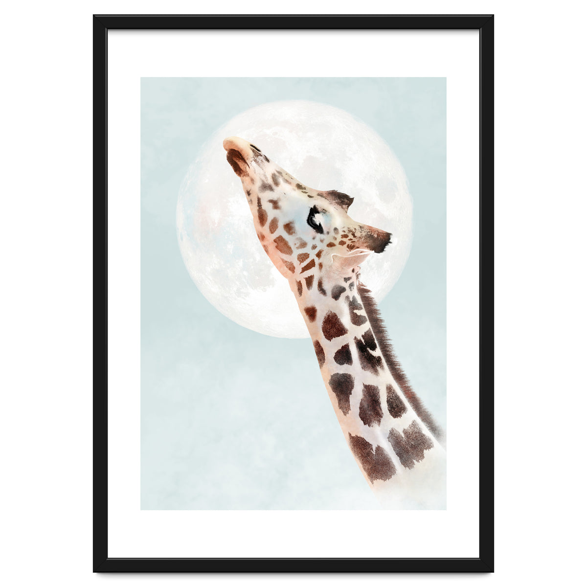 Giraffe And Moon