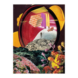The Gate (Print Only) thumbnail