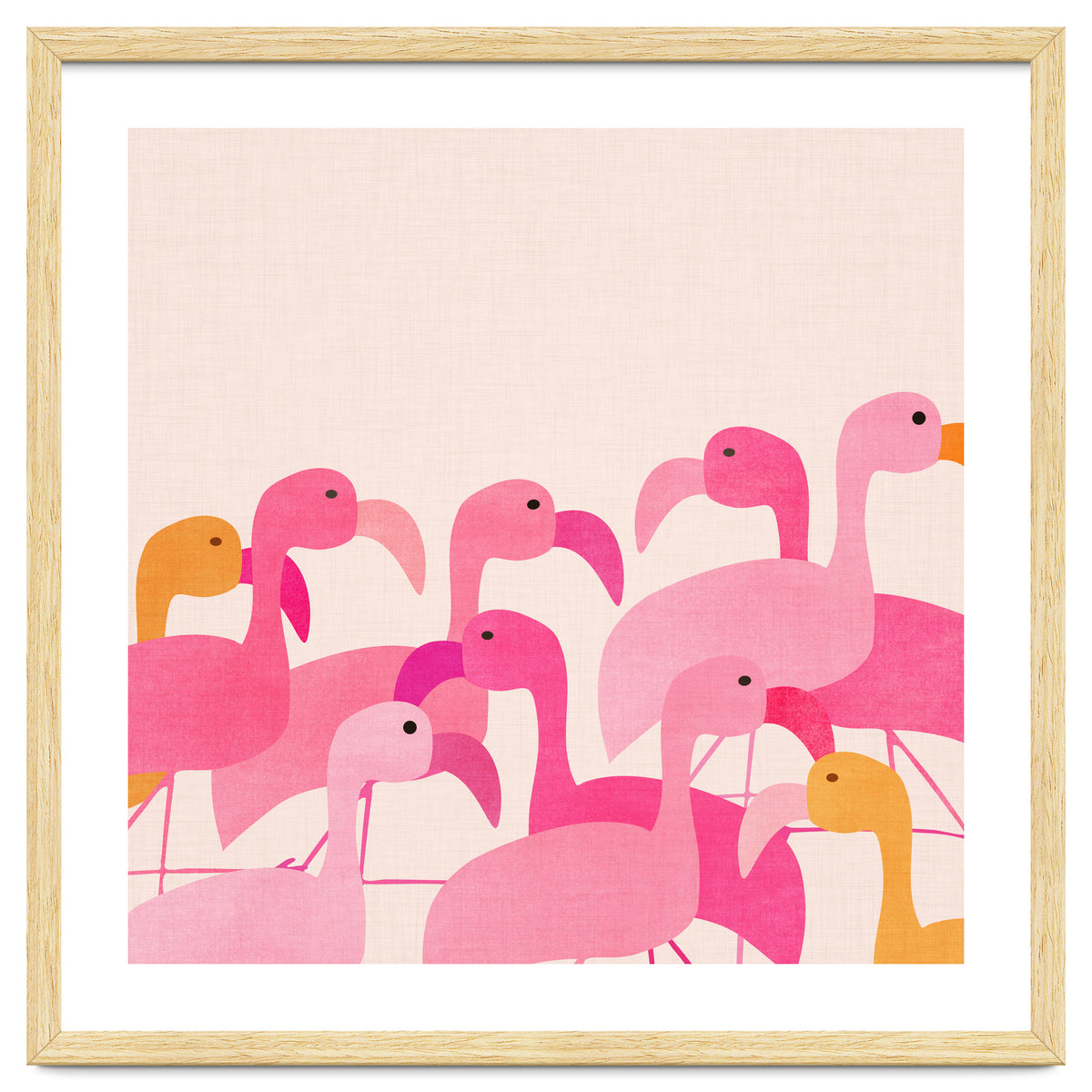 Florida Flamingos