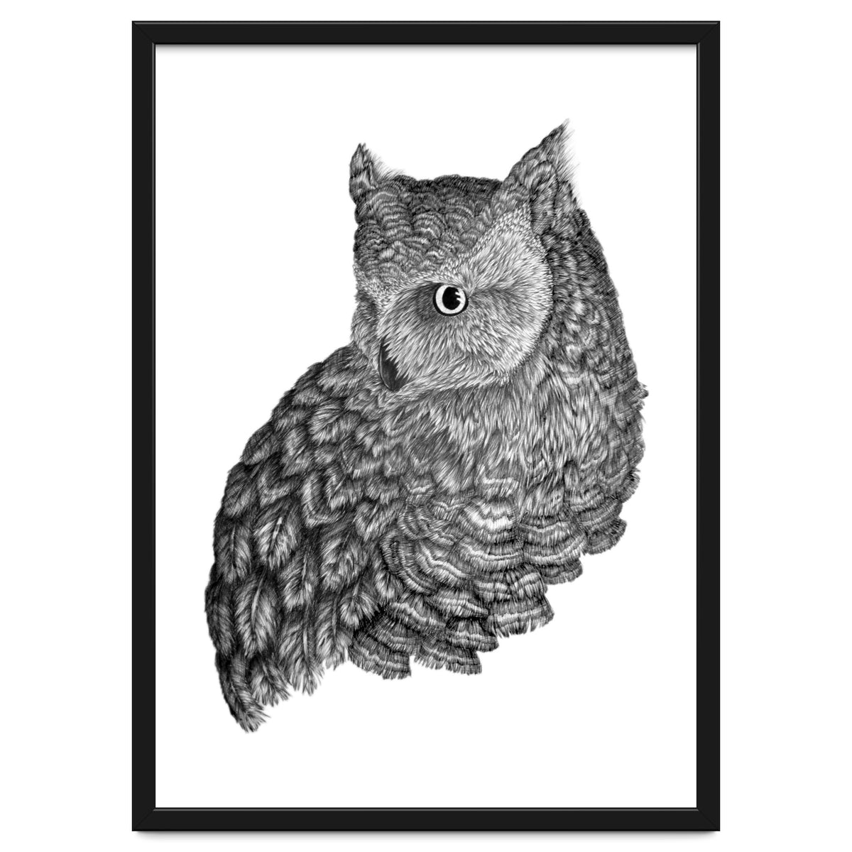 A Friend For Forsythe