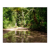 Haitian Bush (Print Only) thumbnail