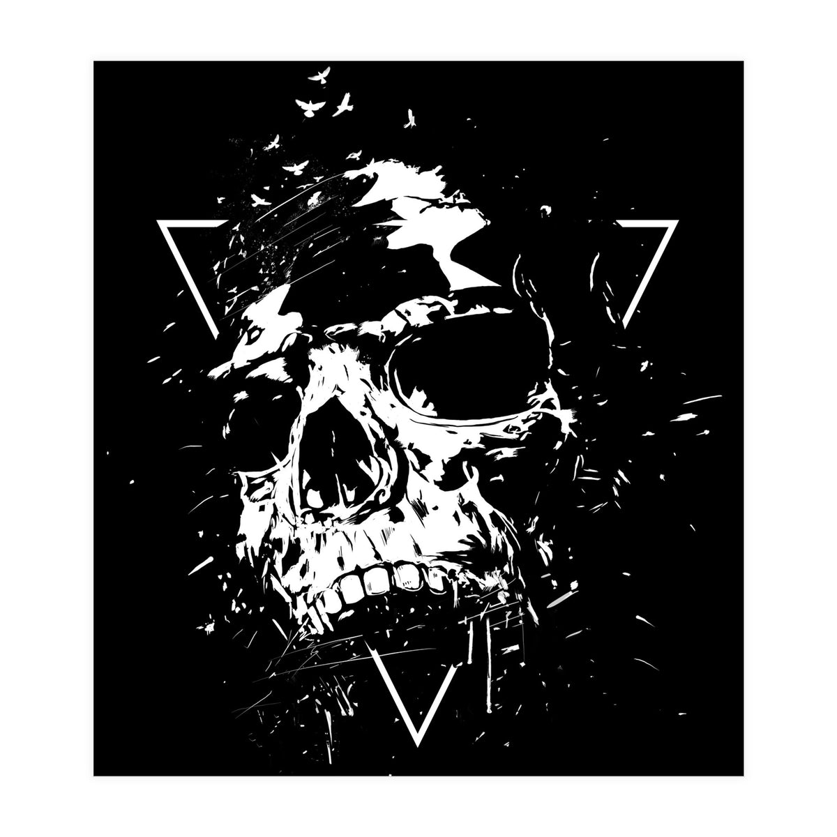 Skull X (Bw) (Print Only)