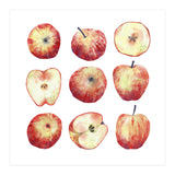 Apples (Print Only) thumbnail