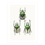 Cc Insects 04 (Print Only) thumbnail