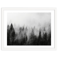 Black and White Forest