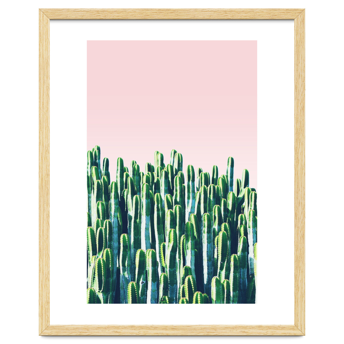 Cactus & Sunset I