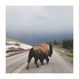 Street Walker (Print Only) thumbnail