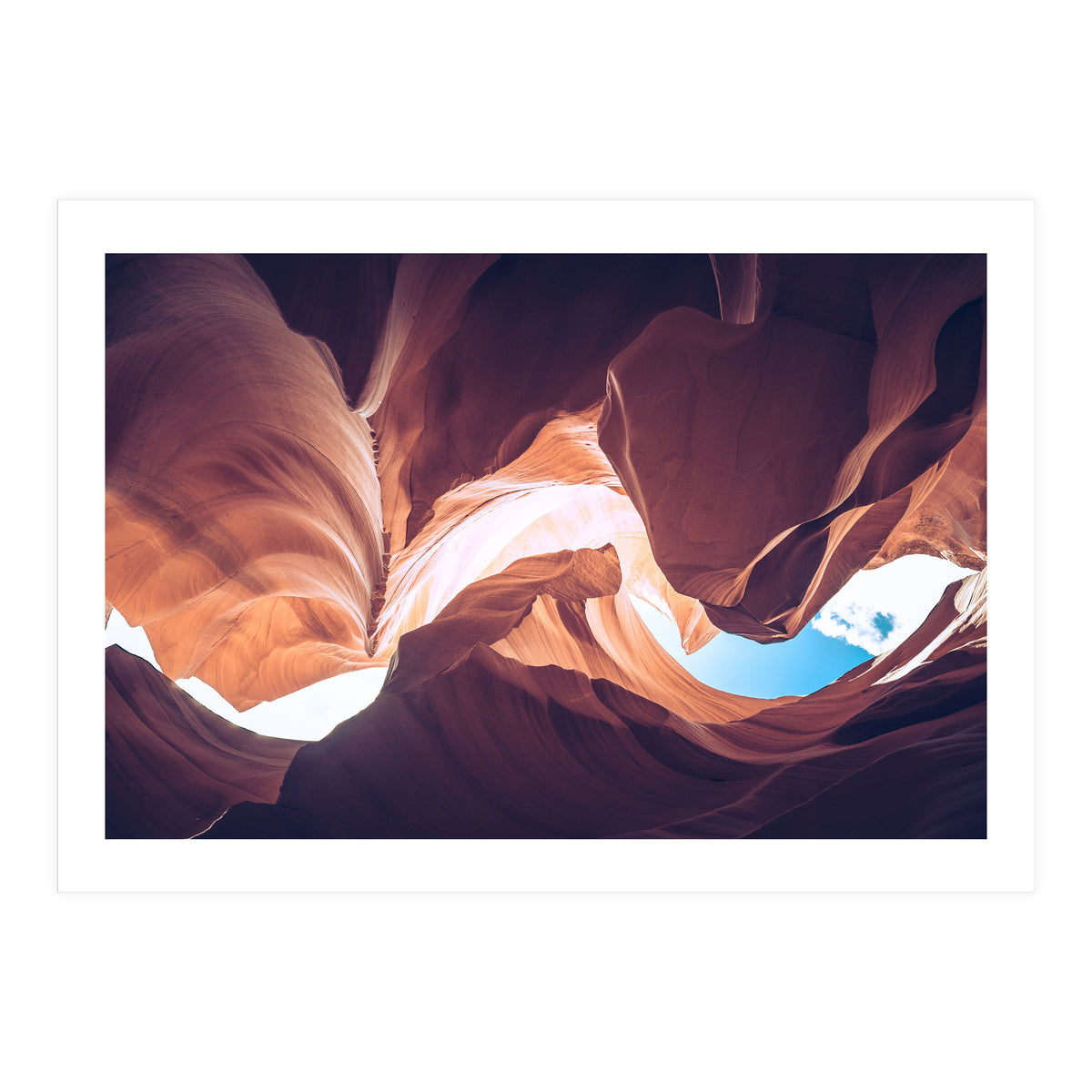 Twisted (Print Only)