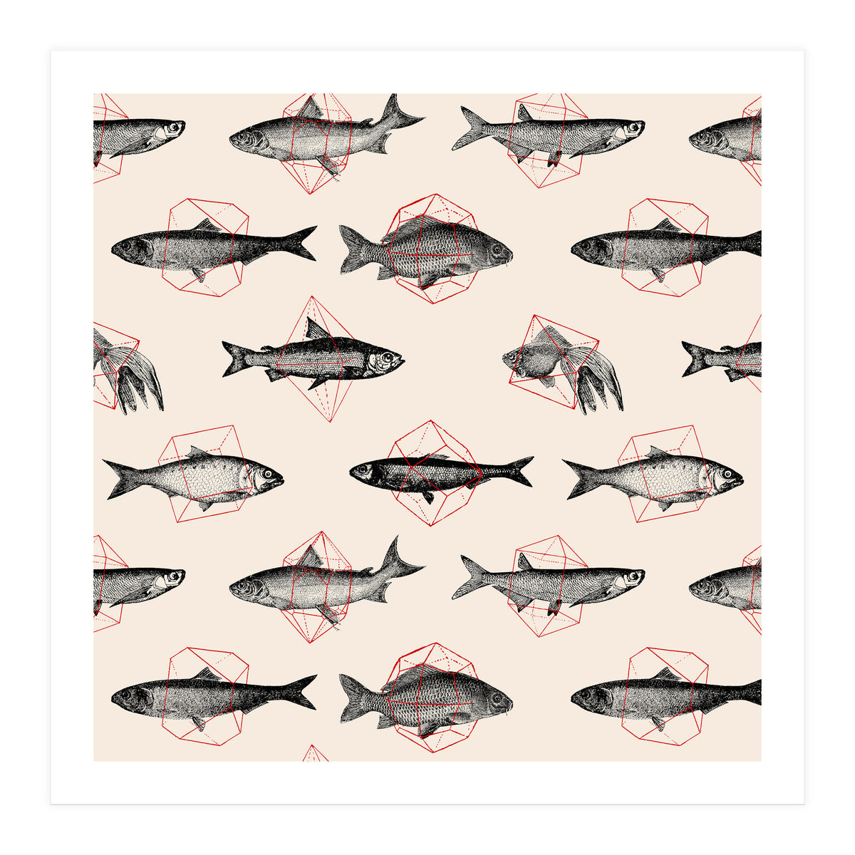 Fish In Geometrics  (Print Only)
