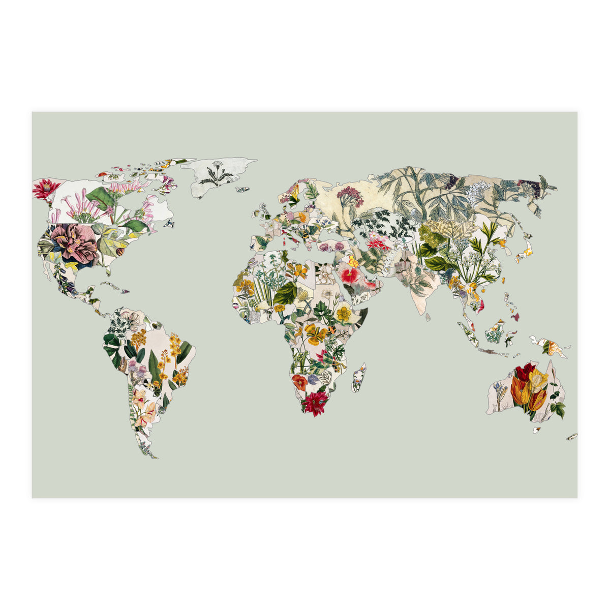 Vintage Botanical Map - Green (Print Only)