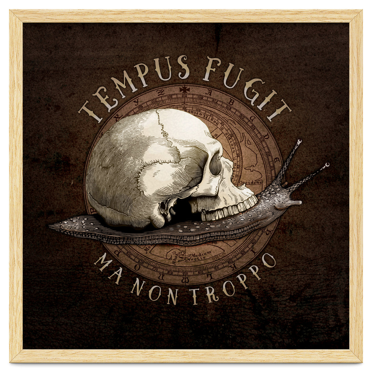 Tempus Fugit (ma non troppo)