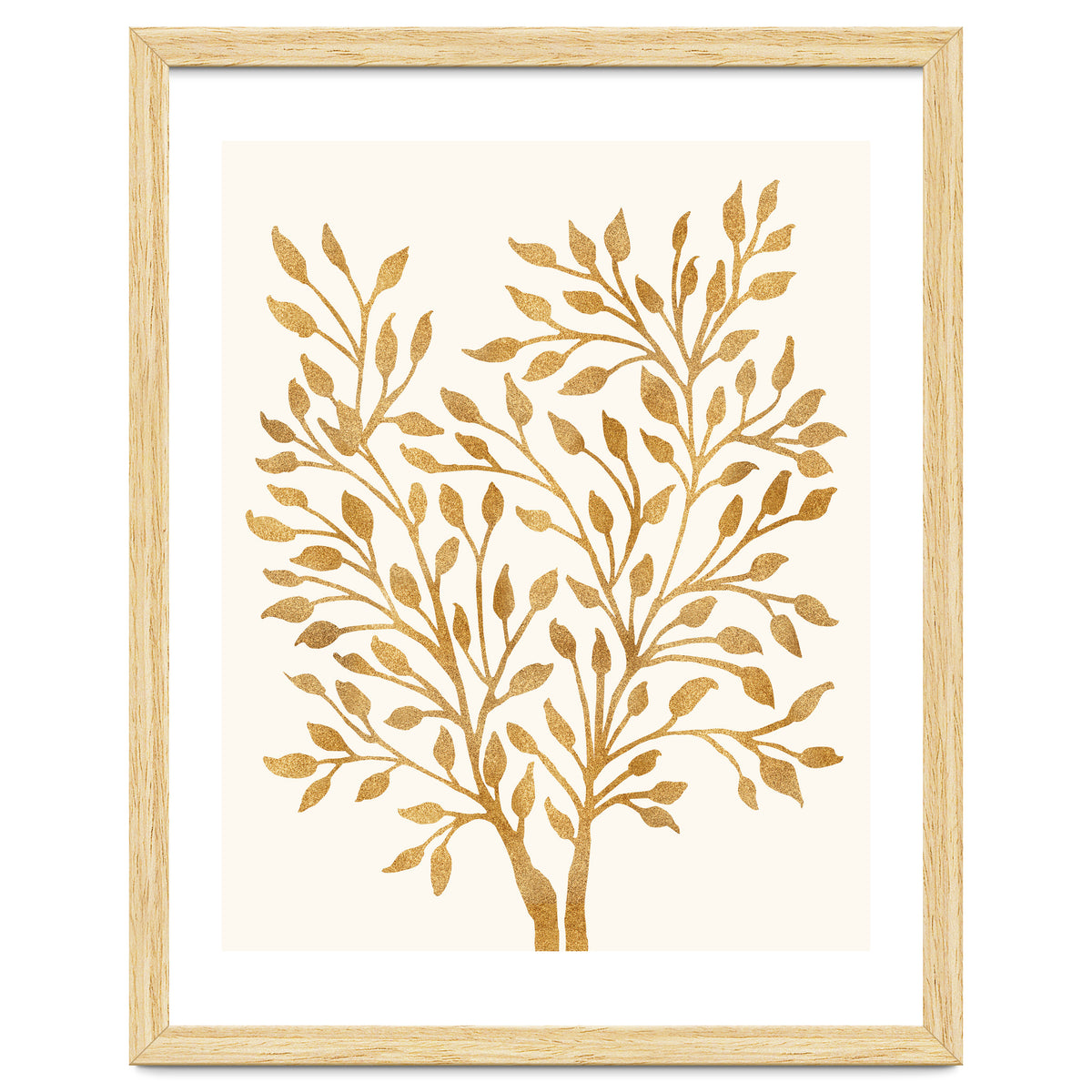 Golden Ficus 4x5