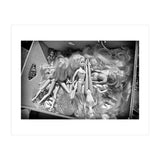 Dolls (Print Only) thumbnail