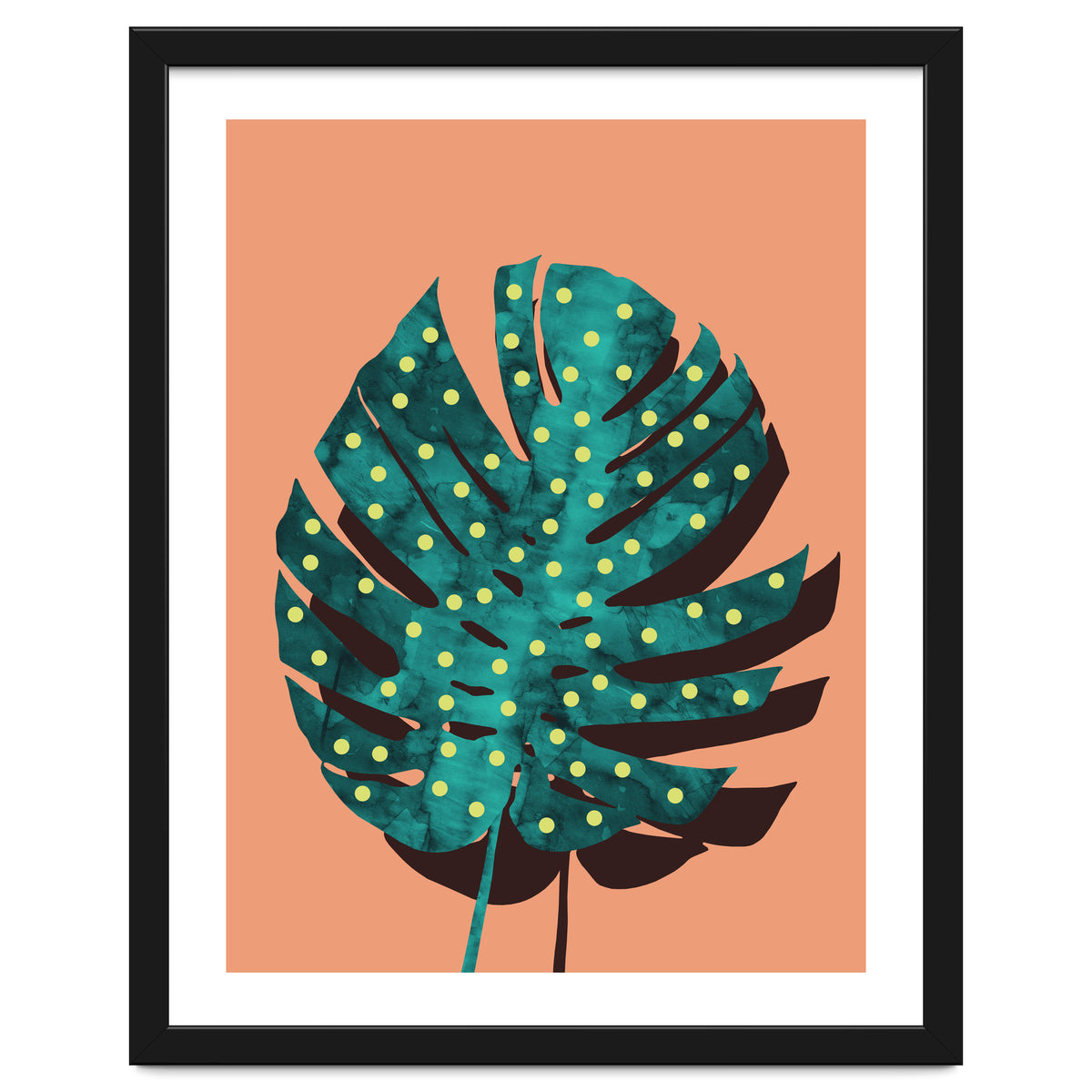 Monstera Deliciosa IV