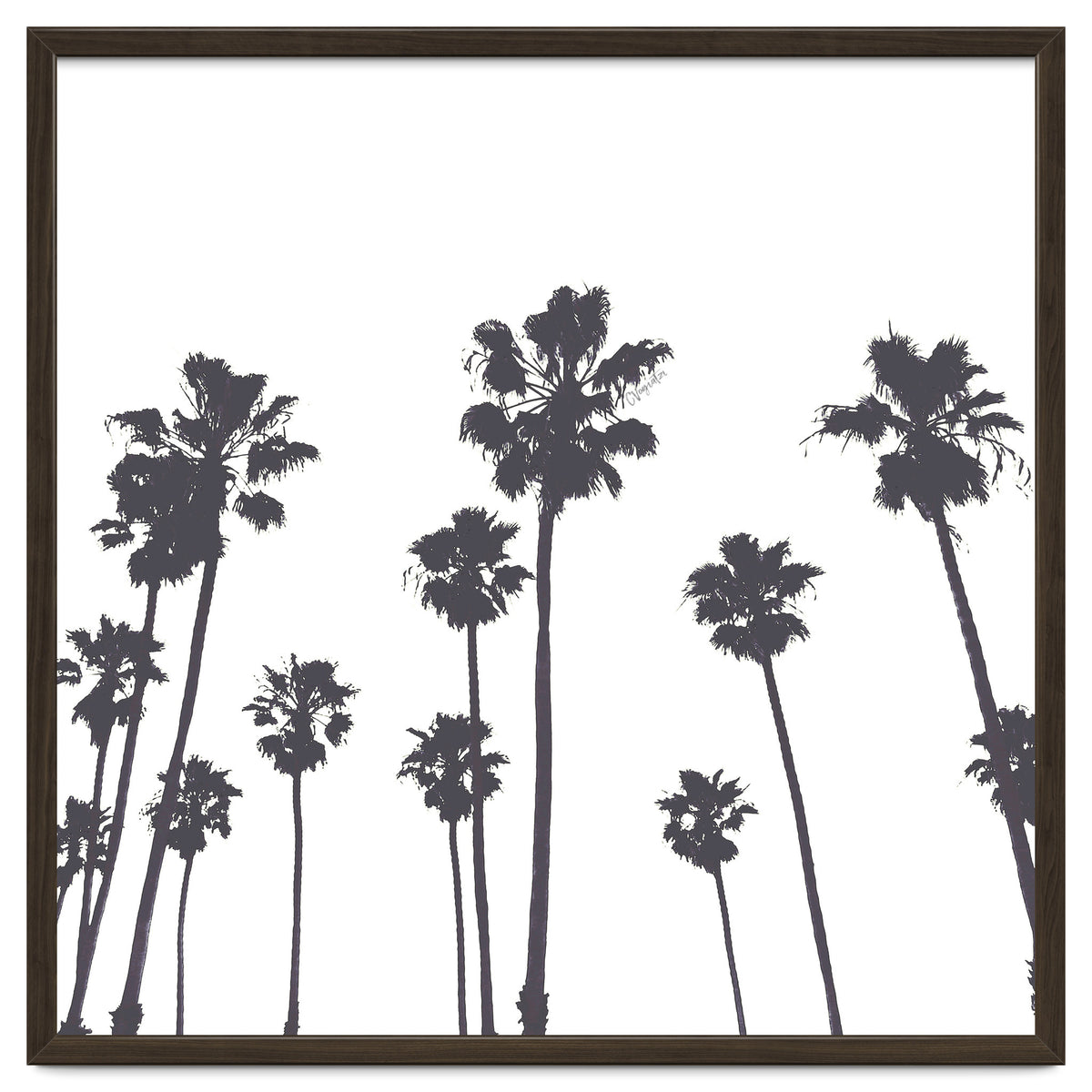 Palms & Sunset-Minimal B&W
