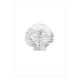 Salt&surf Scallop Waves (Print Only) thumbnail