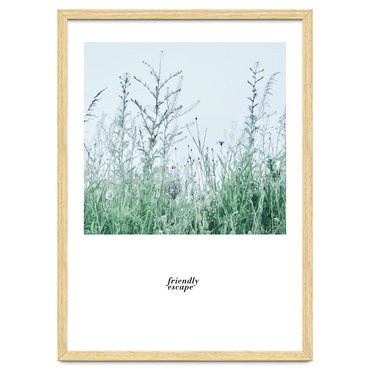 Friendly escape - Nature Photography -