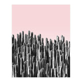 Cactus B&W & Sunset (Print Only) thumbnail