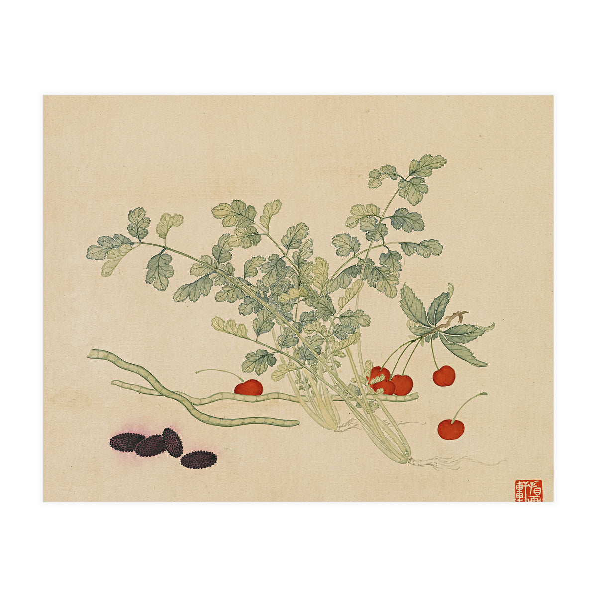 Wang Chengyu~flowers And Vegetables, Vegetables, Fruits, Beans, Red Beans, Cherries, Celery (Print Only)