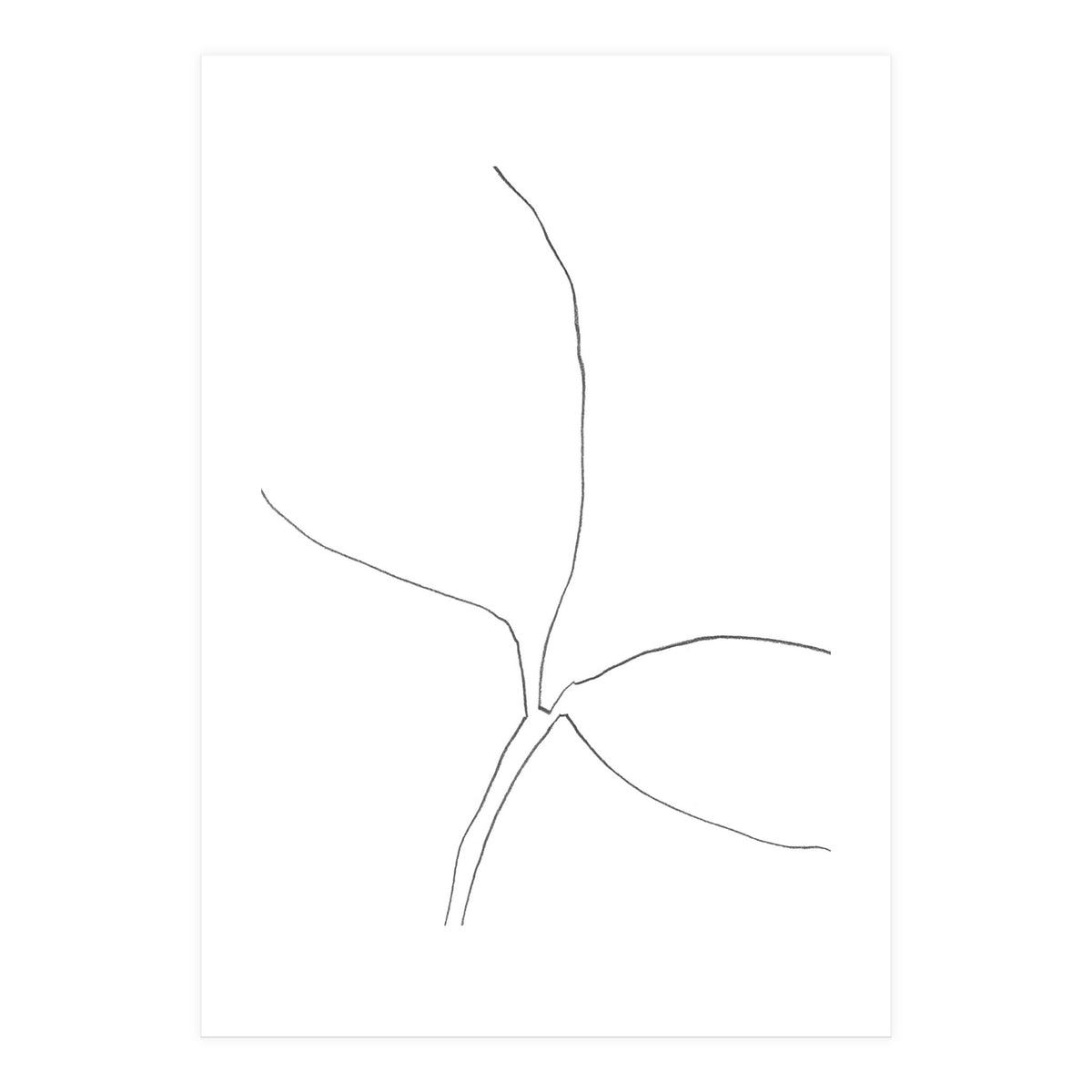 Seedling Leaning Right (Print Only)