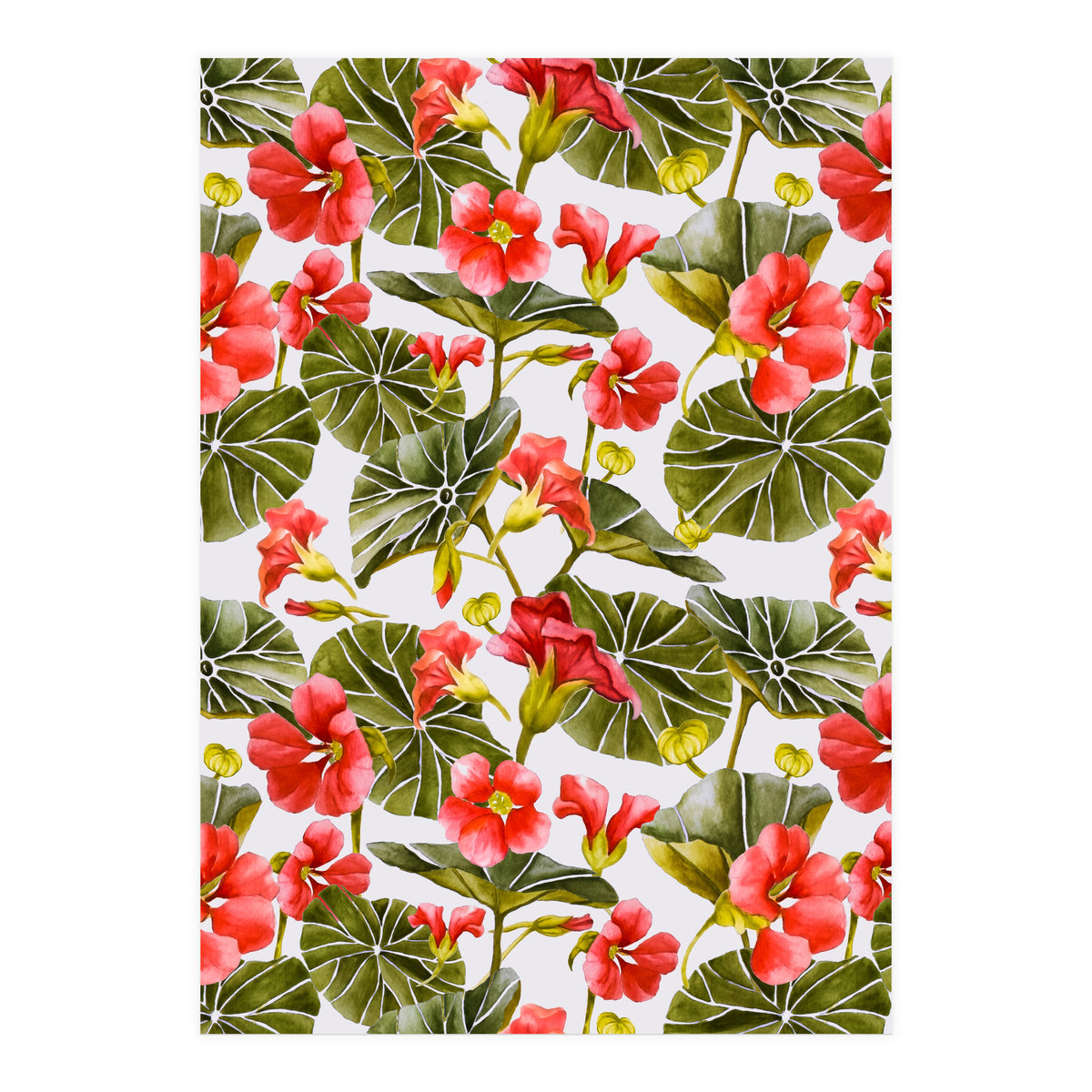 Nasturtiums watercolor 02 (Print Only)