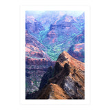 Nature (Print Only) thumbnail