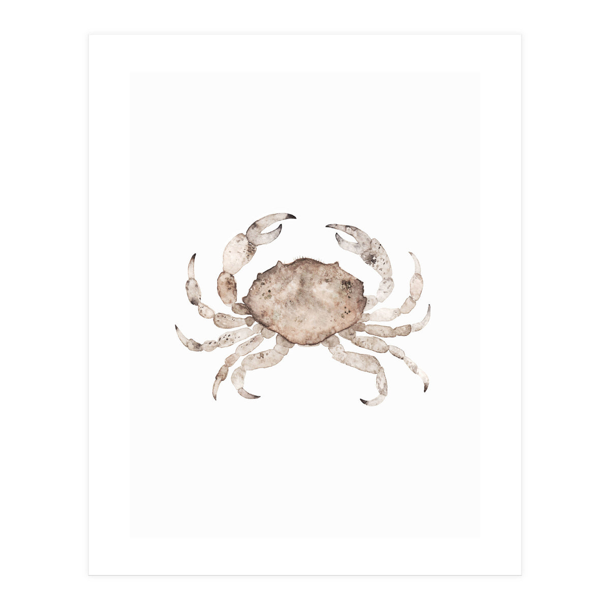 Crab (Print Only)