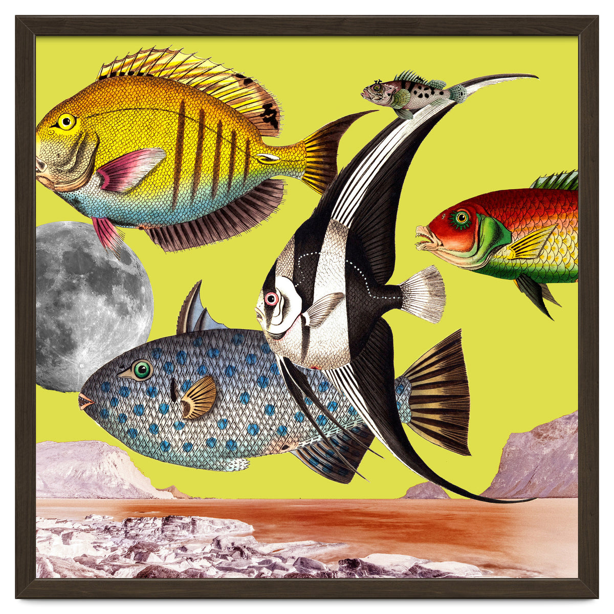 Plenty Of Fish In The Sea Yellow