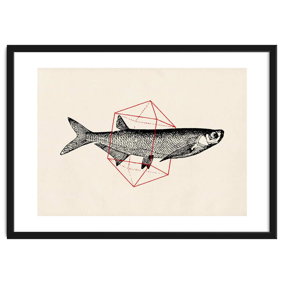 Fish In Geometrics II