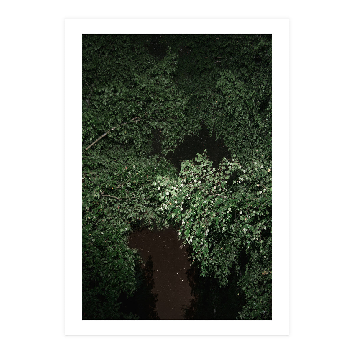 Greenscape (Print Only)