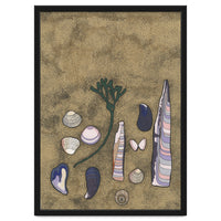 A Beach Still Life