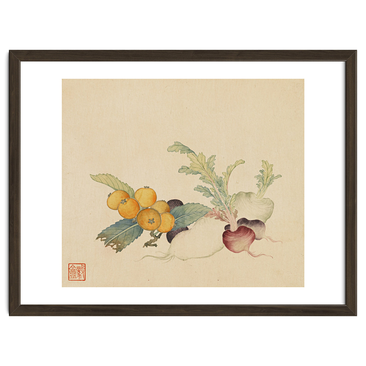 Wang Chengpi~flowers And Vegetables, Vegetables, Fruits, Loquat, White Radish, Carrot, Radish