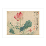 Qing Wangwu Flower album, lotus, lotus leaf, pond, copy of water grass (Print Only) thumbnail