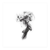 THE PORTRAIT OF A LADY (Print Only) thumbnail