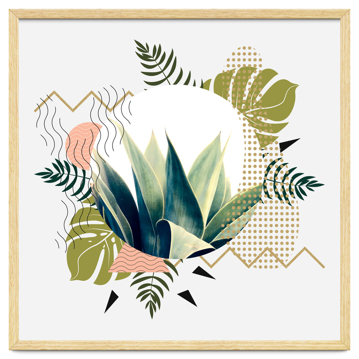 Abstract geometrical and botanical shapes