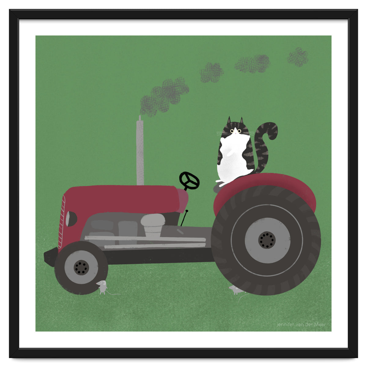 Cat 84: The farm cat