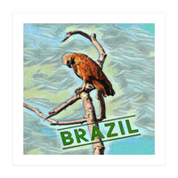 Brazilian resting Eagle (Print Only)